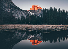 国际足联：美加墨世界杯冠军将获得5000万美元奖金